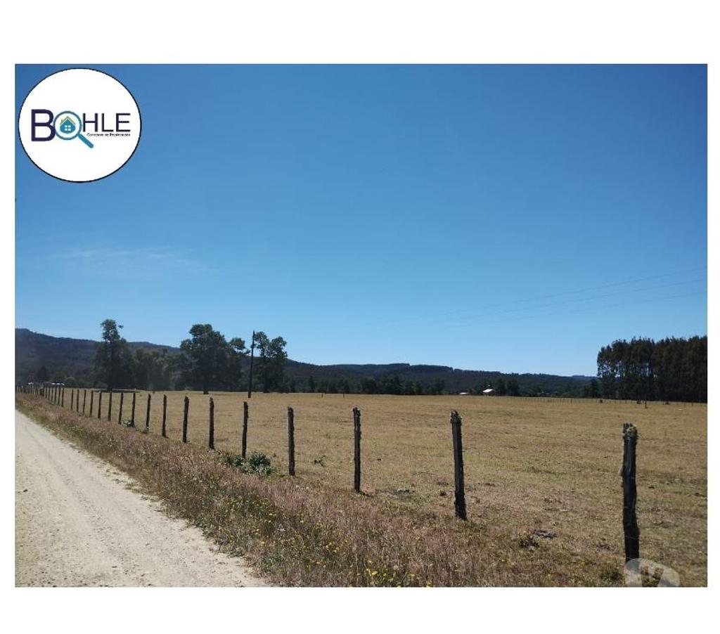 Venta de Haciendas Llanquihue Fresia - Fotos de CAMPO 2.856 HECTÁREAS EN FRESIA