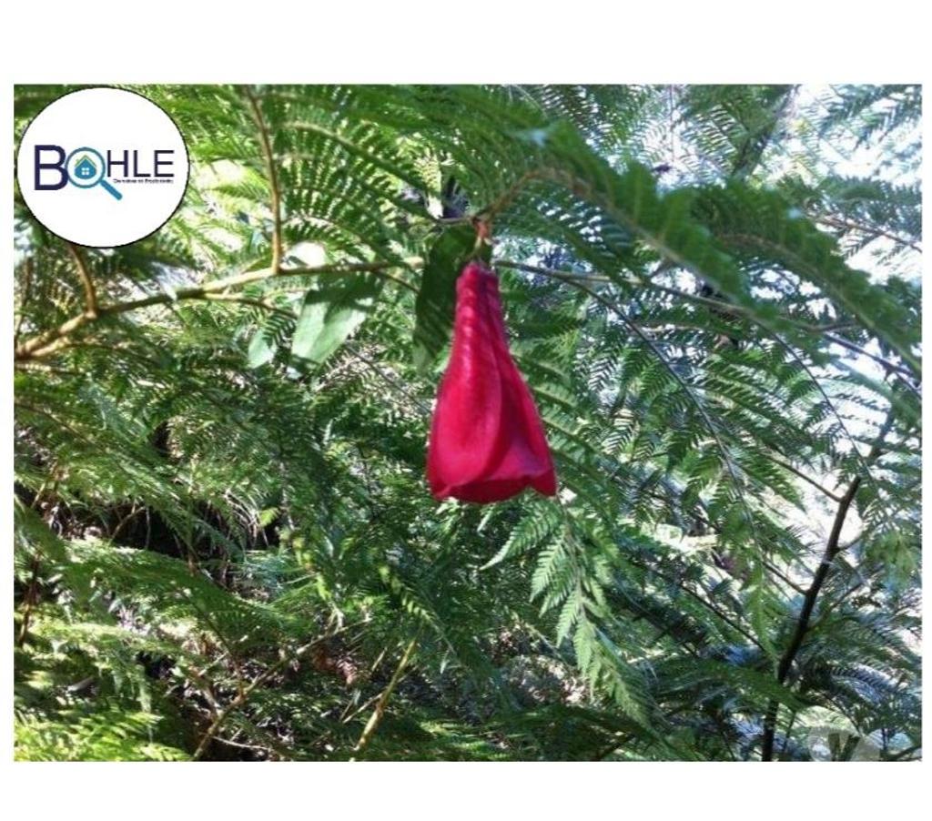 Venta de Haciendas Llanquihue Fresia - Fotos de CAMPO 2.856 HECTÁREAS EN FRESIA