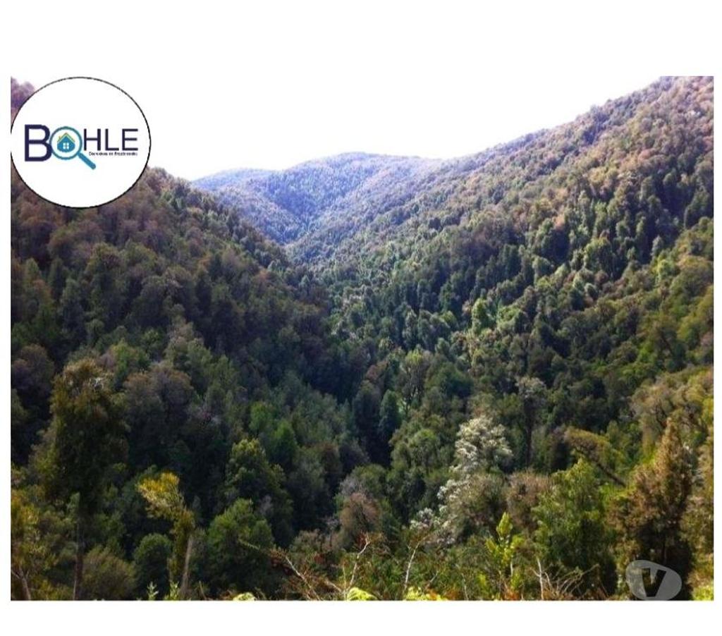 Venta de Haciendas Llanquihue Fresia - Fotos de CAMPO 2.856 HECTÁREAS EN FRESIA