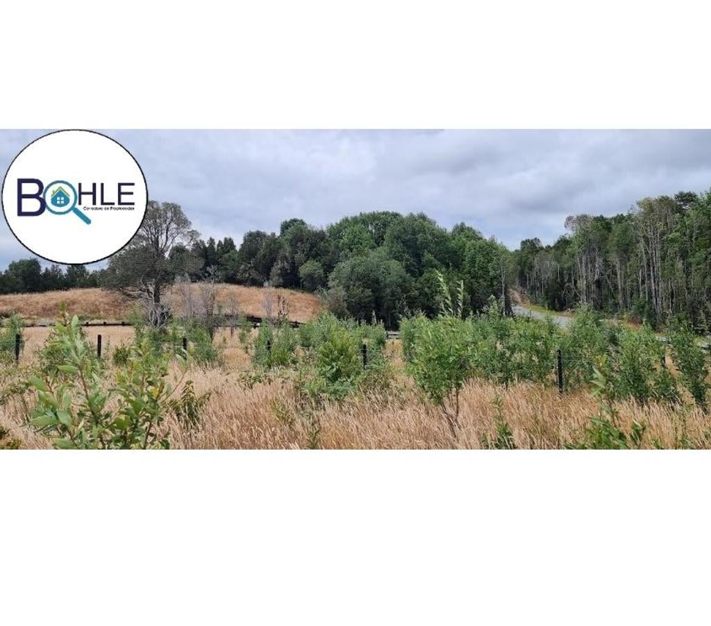 Parcelas en Venta Llanquihue Puerto Varas - Fotos de VENDO - Parcela 5000m2 en Condominio Cumbre Volcanes