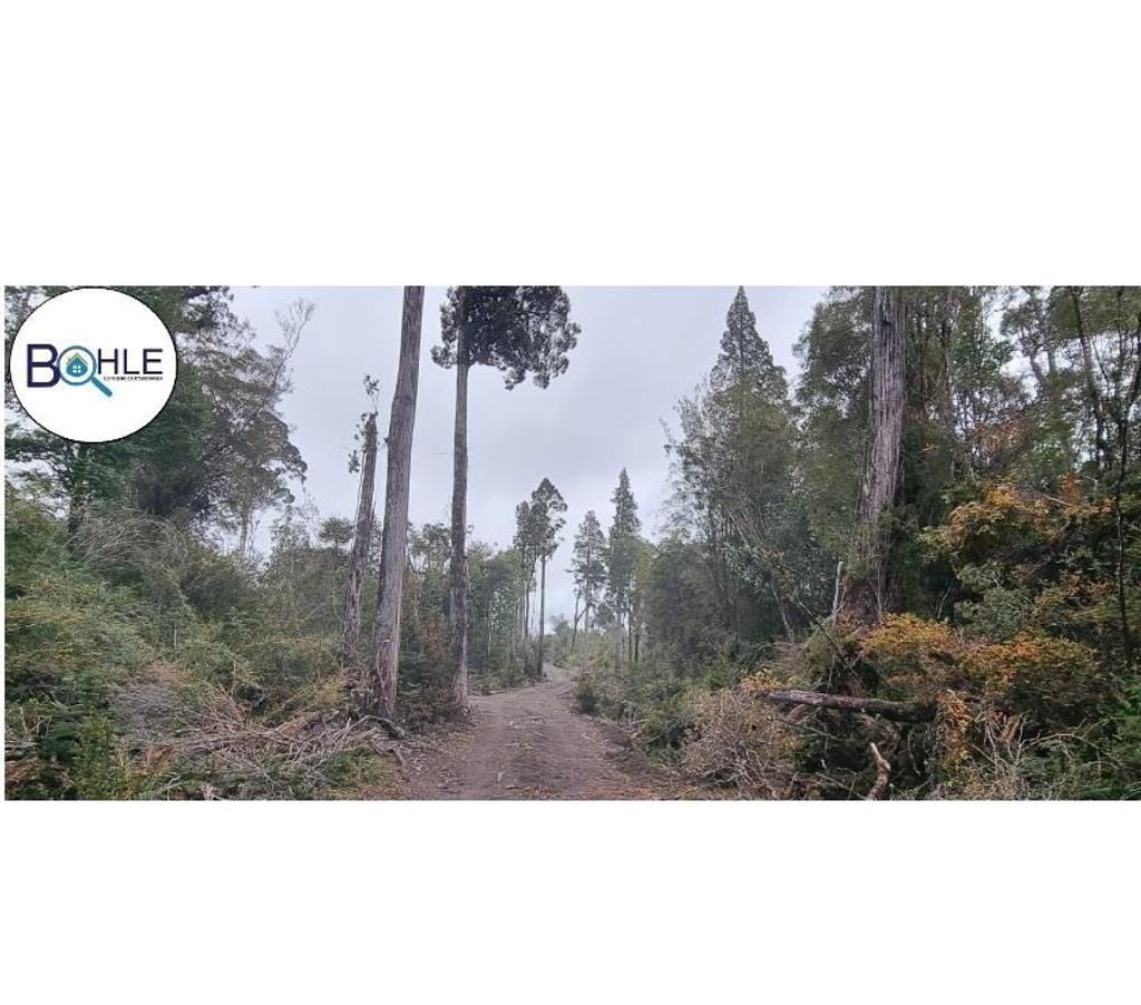 Parcelas en Venta Llanquihue Puerto Varas - Fotos de VENDO PARCELAS EN COLONIA RIO SUR