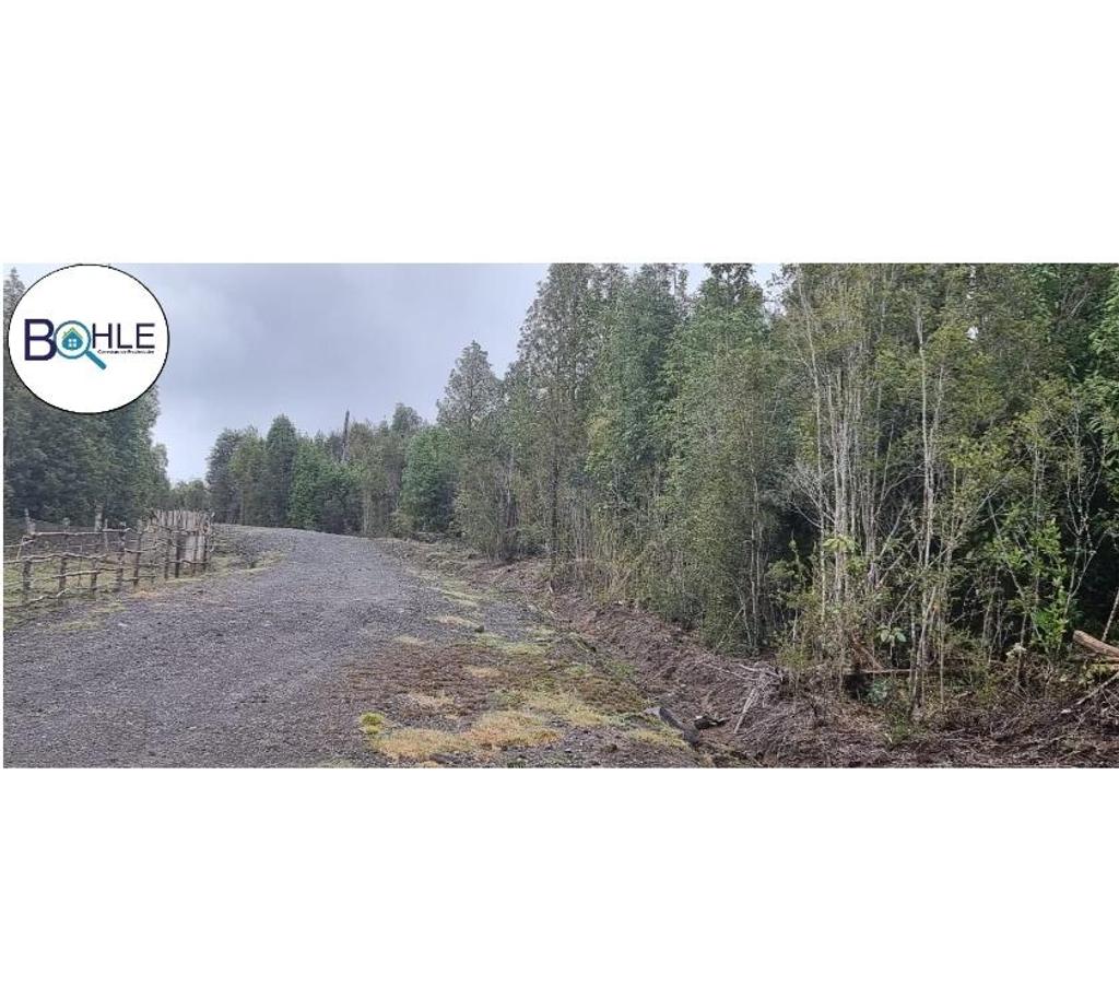 Parcelas en Venta Llanquihue Puerto Varas - Fotos de VENDO PARCELAS EN COLONIA RIO SUR