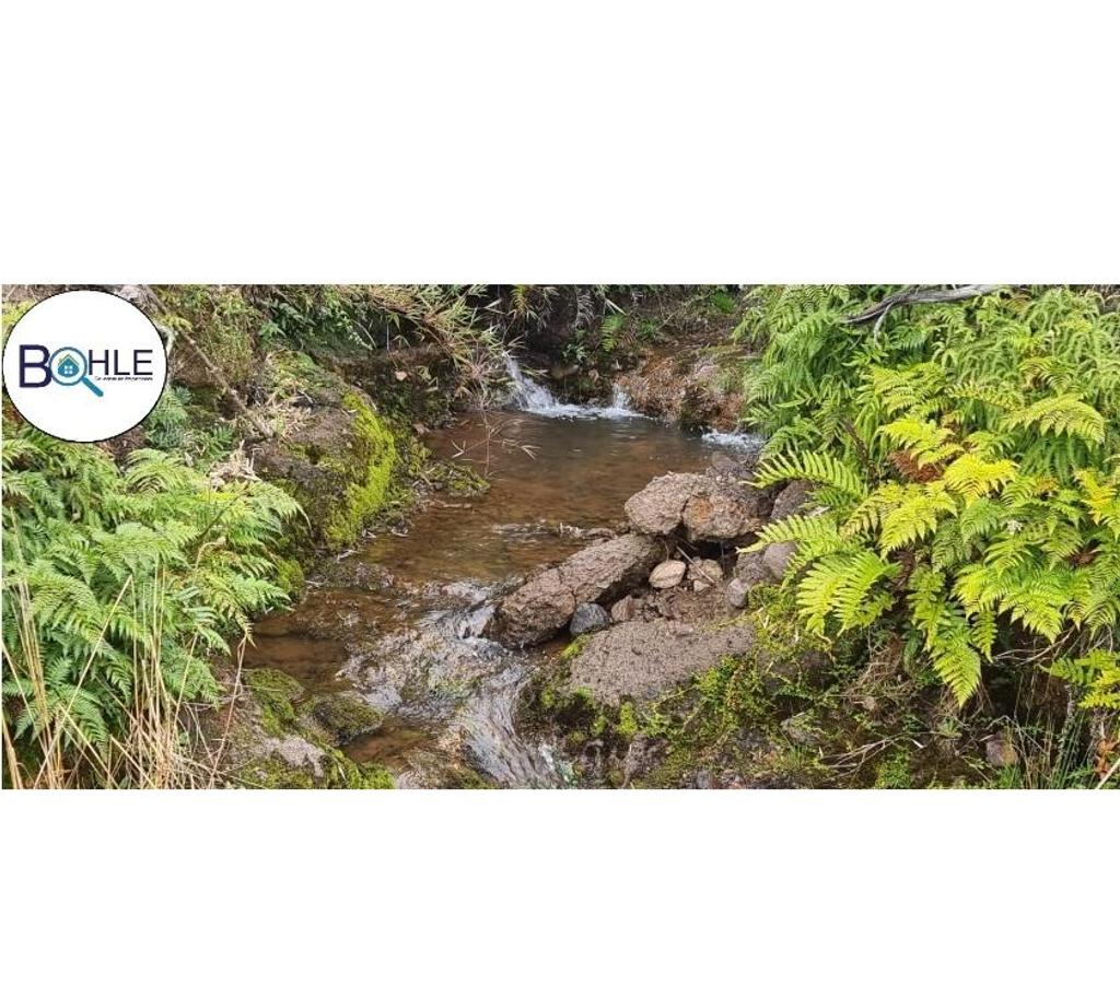 Parcelas en Venta Llanquihue Puerto Varas - Fotos de VENDO PARCELAS EN COLONIA RIO SUR