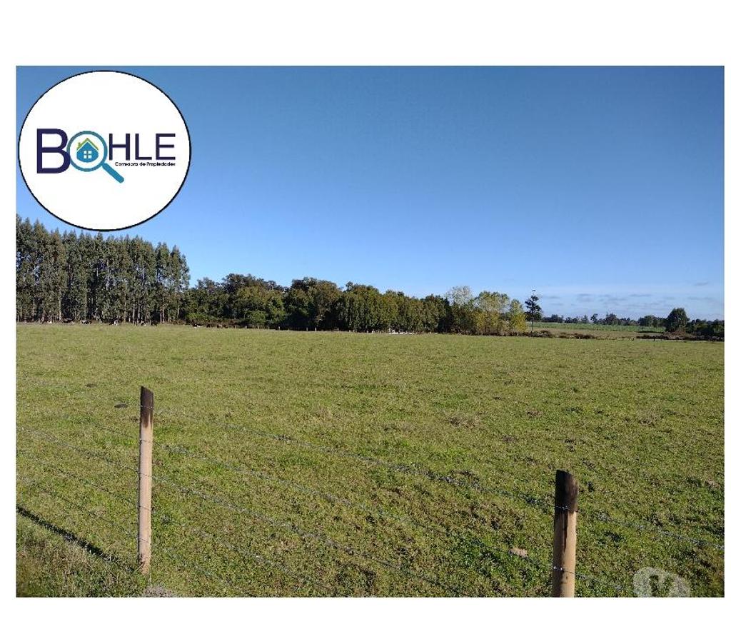 Parcelas en Venta Llanquihue Puerto Varas - Fotos de VENDO - ÚLTIMAS Parcelas Disponibles en Nueva Braunau