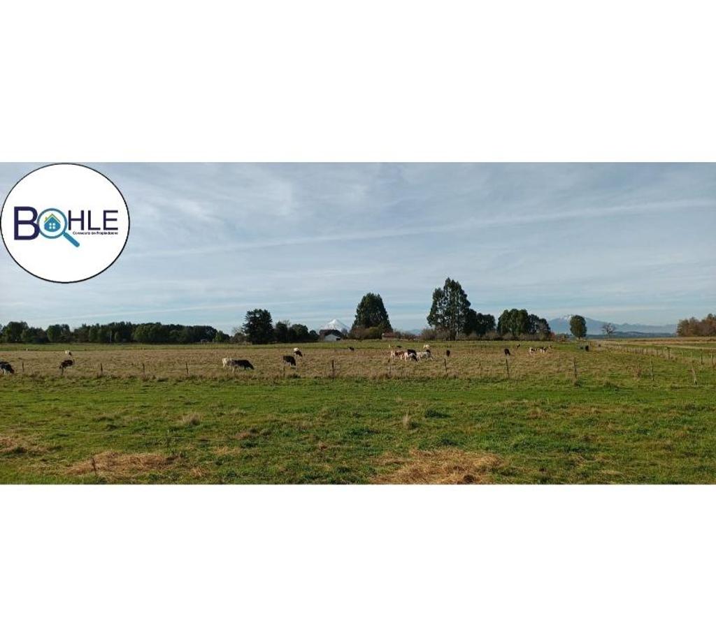 Parcelas en Venta Llanquihue Puerto Varas - Fotos de VENDO - ÚLTIMAS Parcelas Disponibles en Nueva Braunau