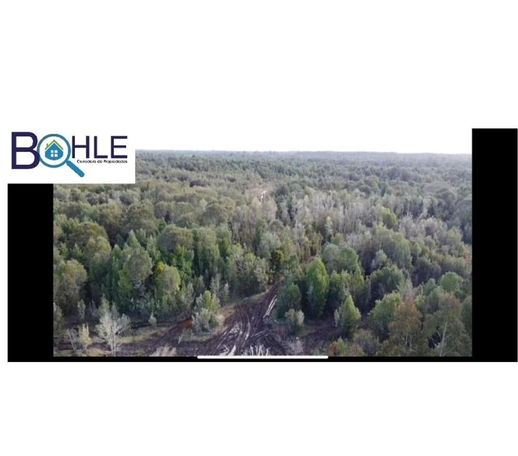 Venta de Haciendas Llanquihue Maullí - Fotos de CAMPO 82,43 HÁ EN PARGUA