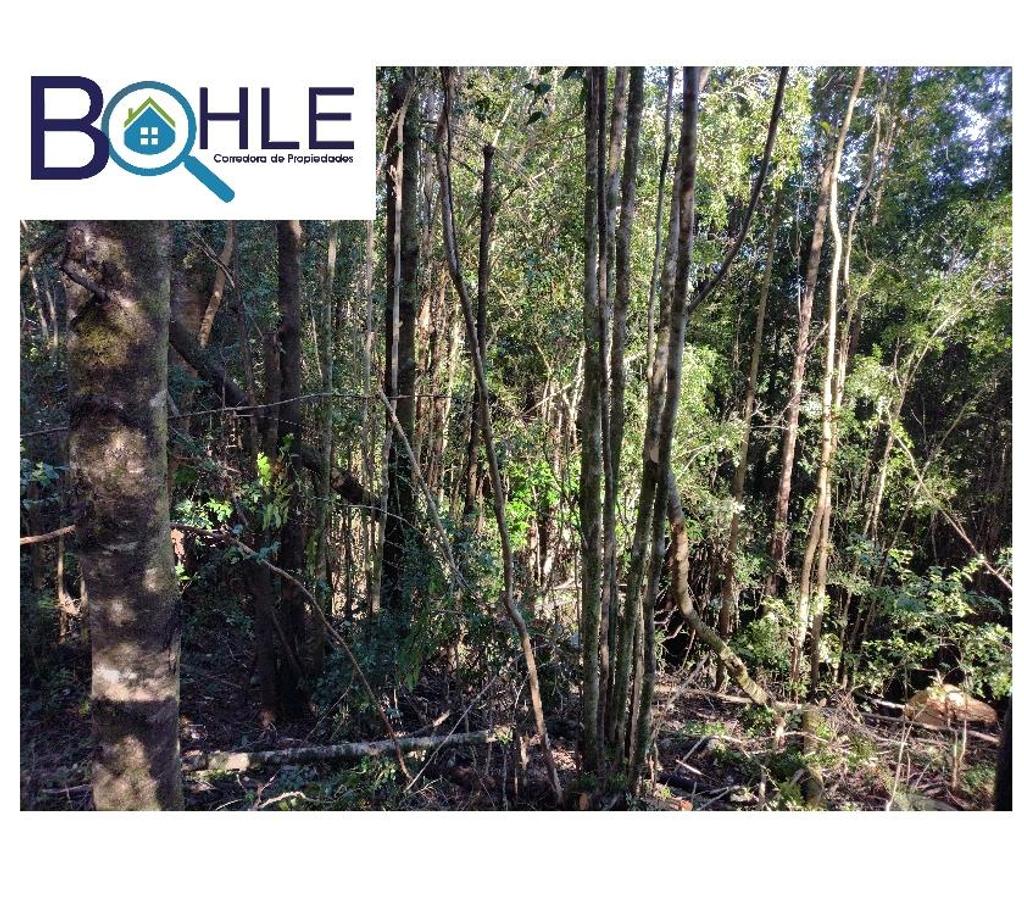 Venta de Haciendas Llanquihue Maullí - Fotos de CAMPO 82,43 HÁ EN PARGUA