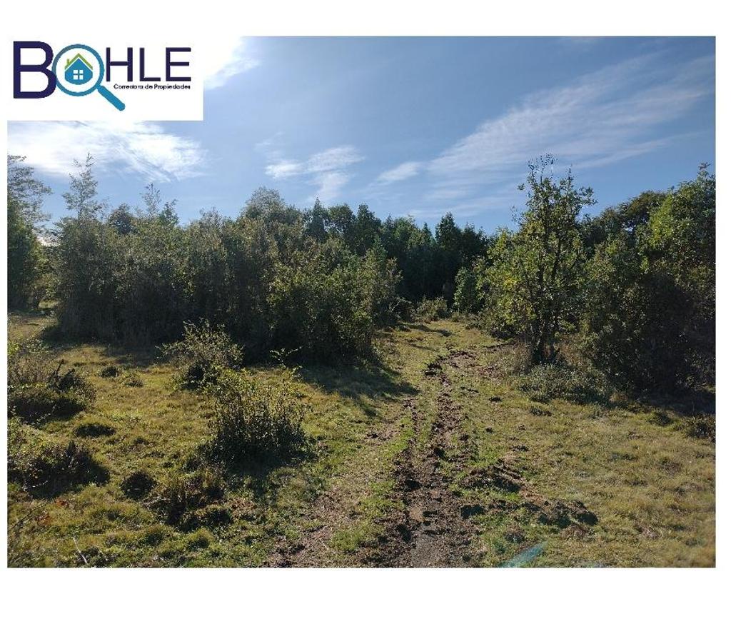 Venta de Haciendas Llanquihue Maullí - Fotos de CAMPO 82,43 HÁ EN PARGUA