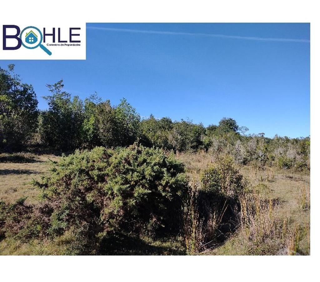 Venta de Haciendas Llanquihue Maullí - Fotos de CAMPO 82,43 HÁ EN PARGUA
