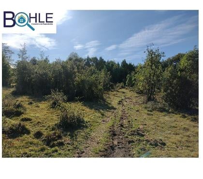 Campos en Venta Maullí Llanquihue - Fotos de CAMPO 82,43 HÁ EN PARGUA