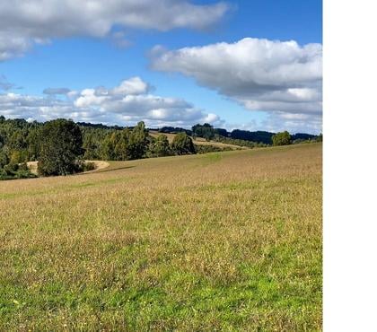 Venta de Haciendas Puerto Varas Llanquihue - Fotos de Campo a 15 minutos de la ciudad con acceso a carretera