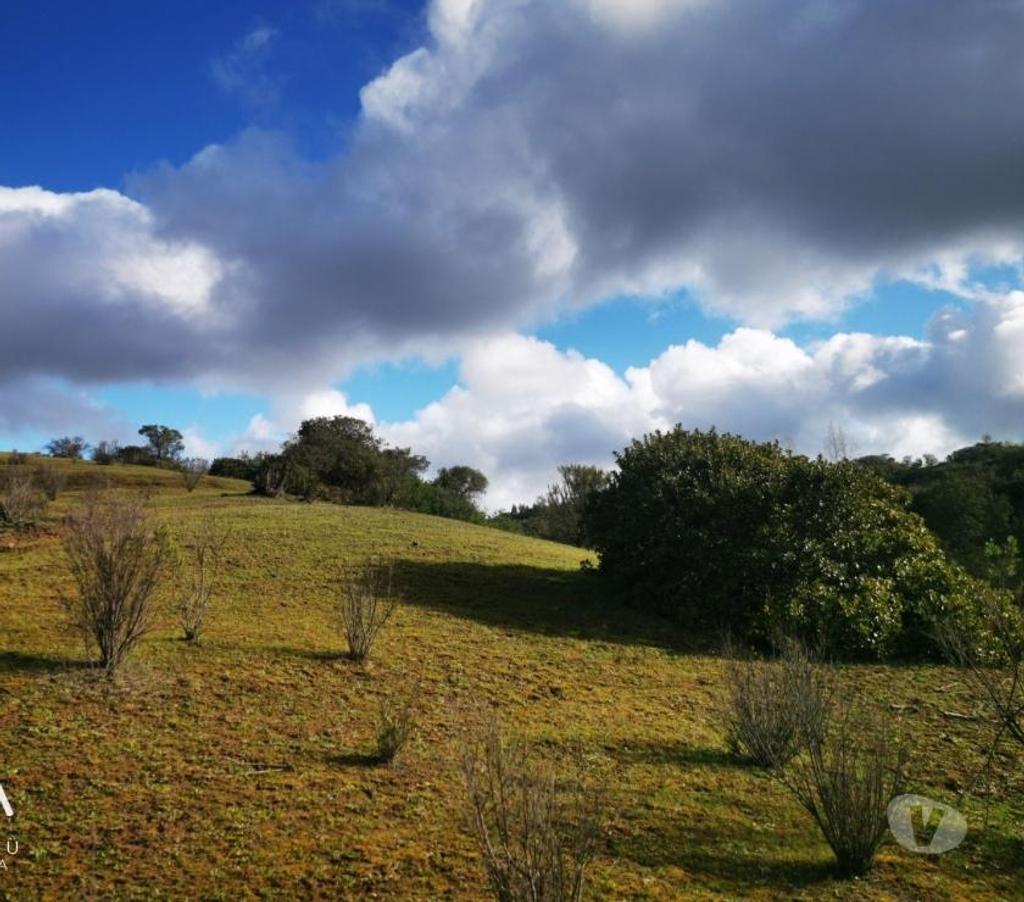 Parcelas en Venta Cardenal Caro Navidad - Fotos de Parcelas a 20 min de Pupuya