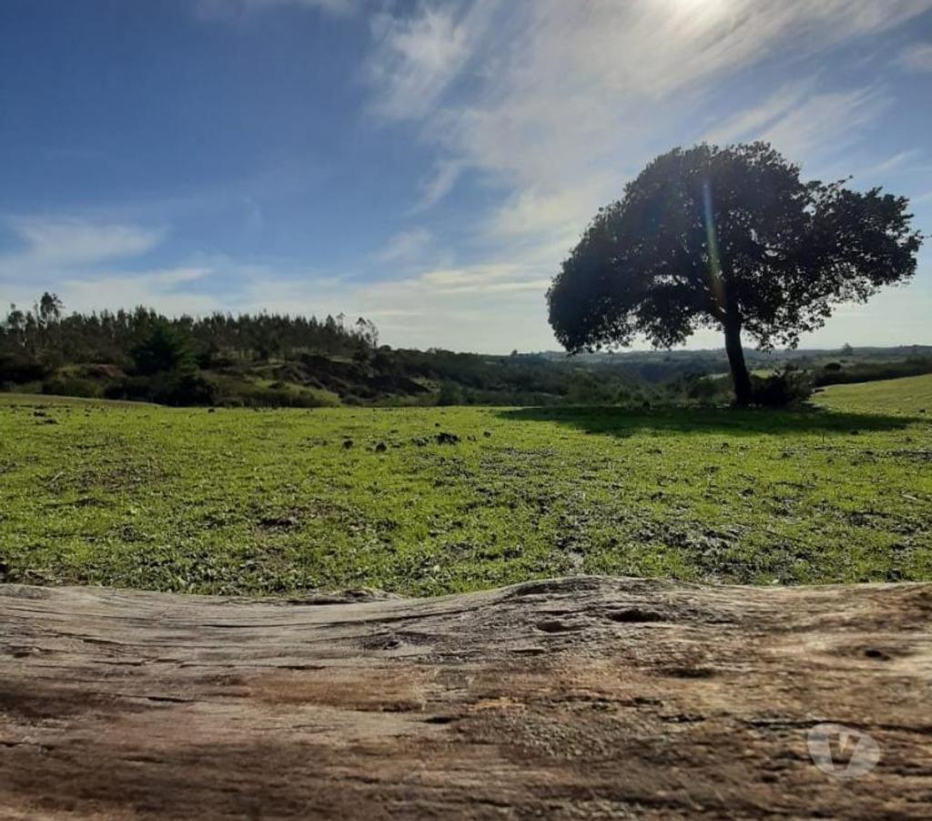 Parcelas en Venta Cardenal Caro Navidad - Fotos de Parcelas a 20 min de Pupuya