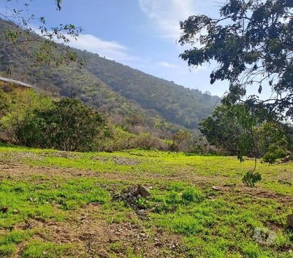 Terrenos en Venta Curacav Melipilla - Fotos de VENDO PARCELA EN CURACAVI 1 HECTAREA - sector Lo guila