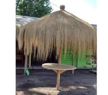 Quitasoles de Totora, Quitasoles de Coiron