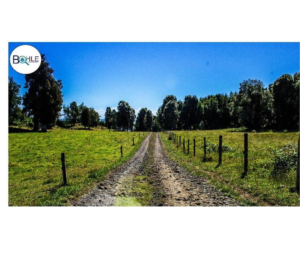 Parcelas en Venta Llanquihue Puerto Varas - Fotos de PARCELACIÓN LOMAS DE CASCADAS