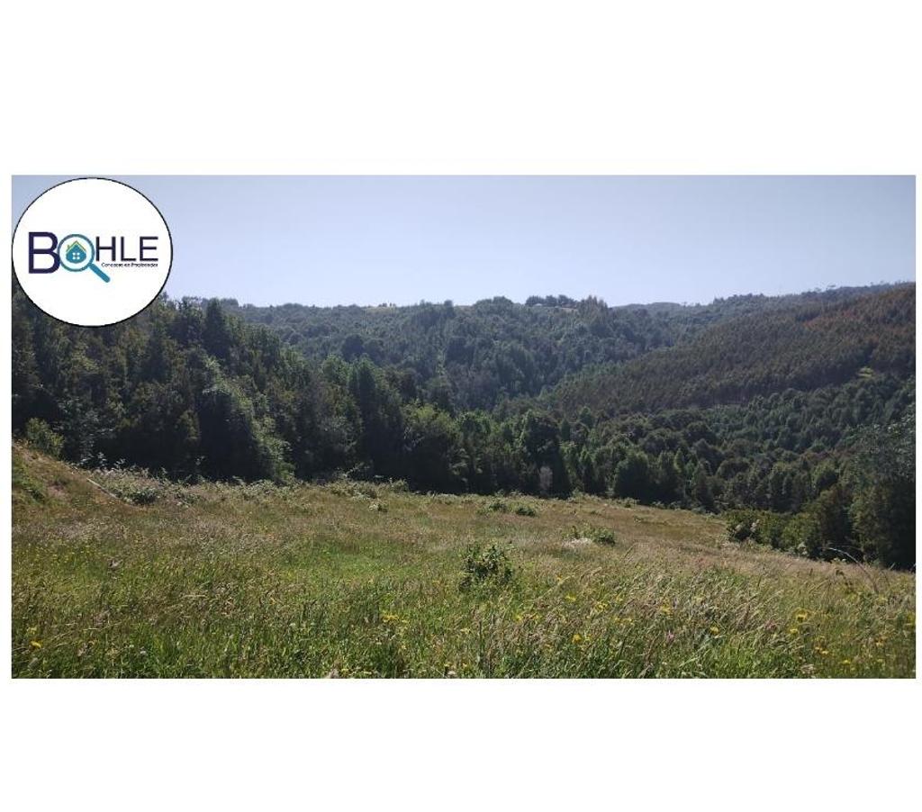 Parcelas en Venta Llanquihue Los Muermos - Fotos de VENDO - Parcela de 5000m2 en Estaquilla