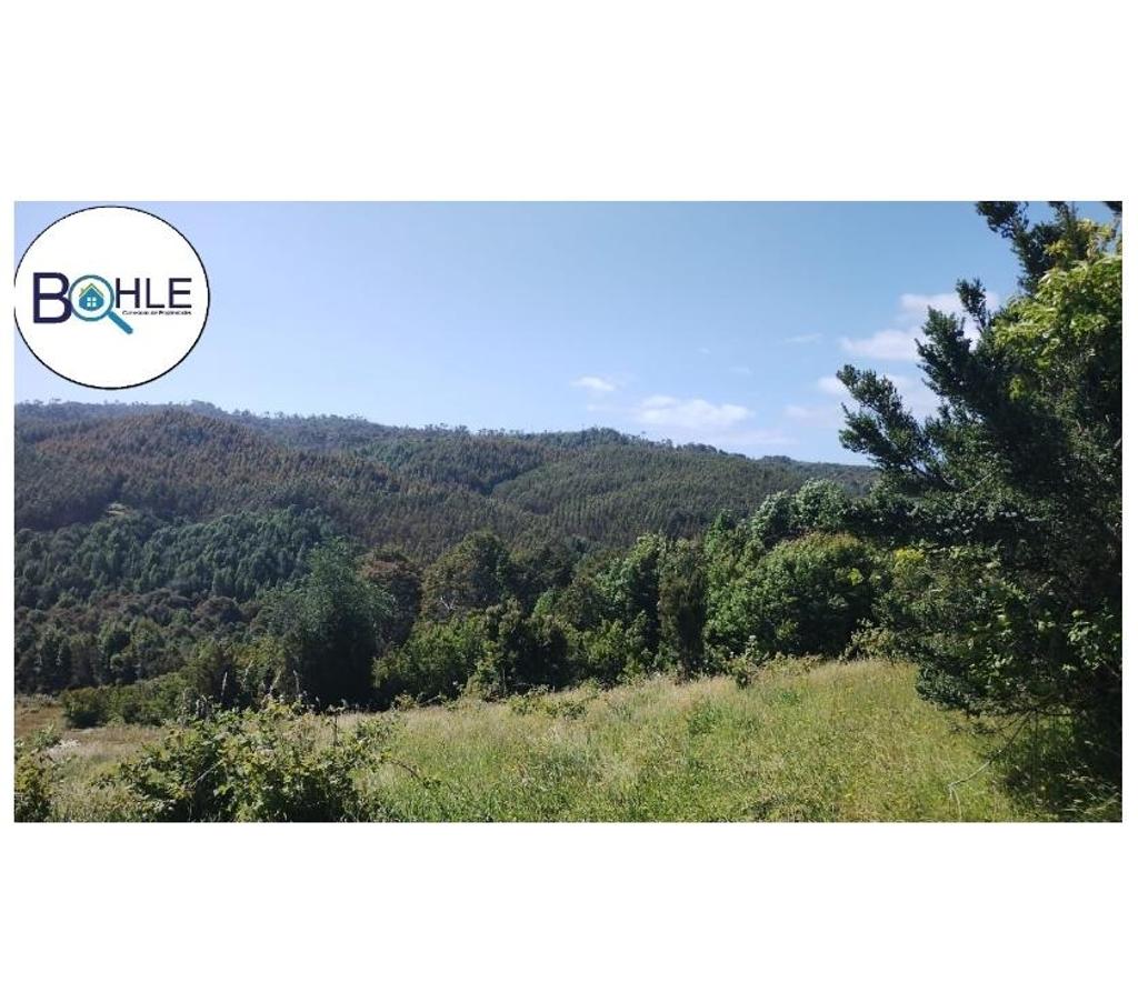 Parcelas en Venta Llanquihue Los Muermos - Fotos de VENDO - Parcela de 5000m2 en Estaquilla