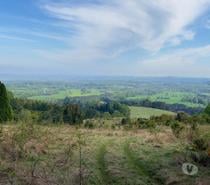 Campo subdividido de 80 hectáreas cercano al Lago Colico