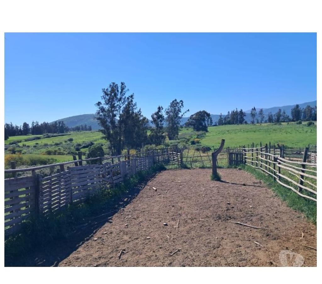 Parcelas en Venta Melipilla Melipilla - Fotos de Se vende parcela en Melipilla