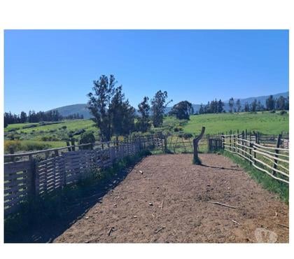 Parcelas Melipilla Melipilla - Fotos de Se vende parcela en Melipilla