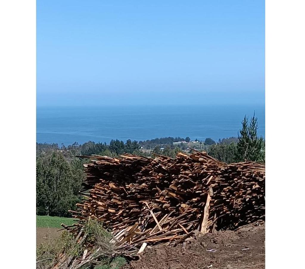 Parcelas en Venta Ñuble Cobquecura - Fotos de AL MAR, SERICHE, COBQUECURA