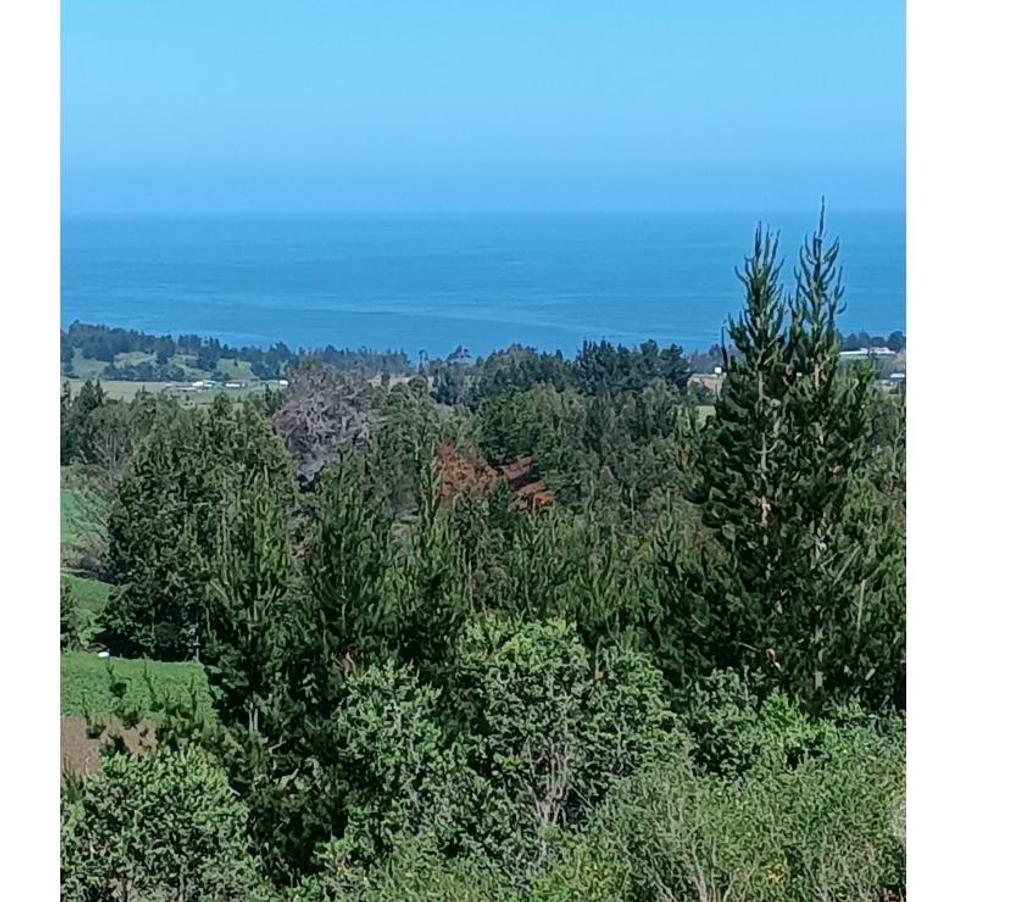 Parcelas en Venta Ñuble Cobquecura - Fotos de AL MAR, SERICHE, COBQUECURA