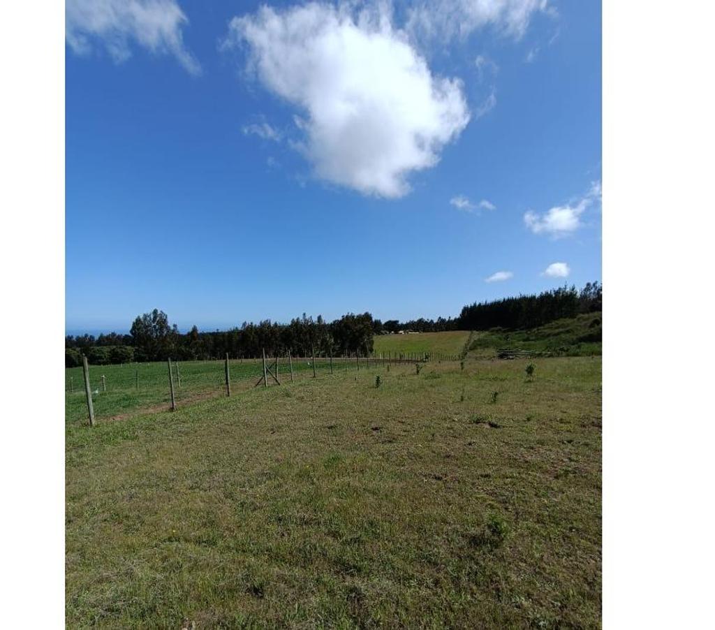 Parcelas en Venta Ñuble Cobquecura - Fotos de AL MAR, SERICHE, COBQUECURA