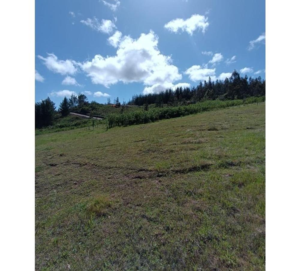 Parcelas en Venta Ñuble Cobquecura - Fotos de AL MAR, SERICHE, COBQUECURA