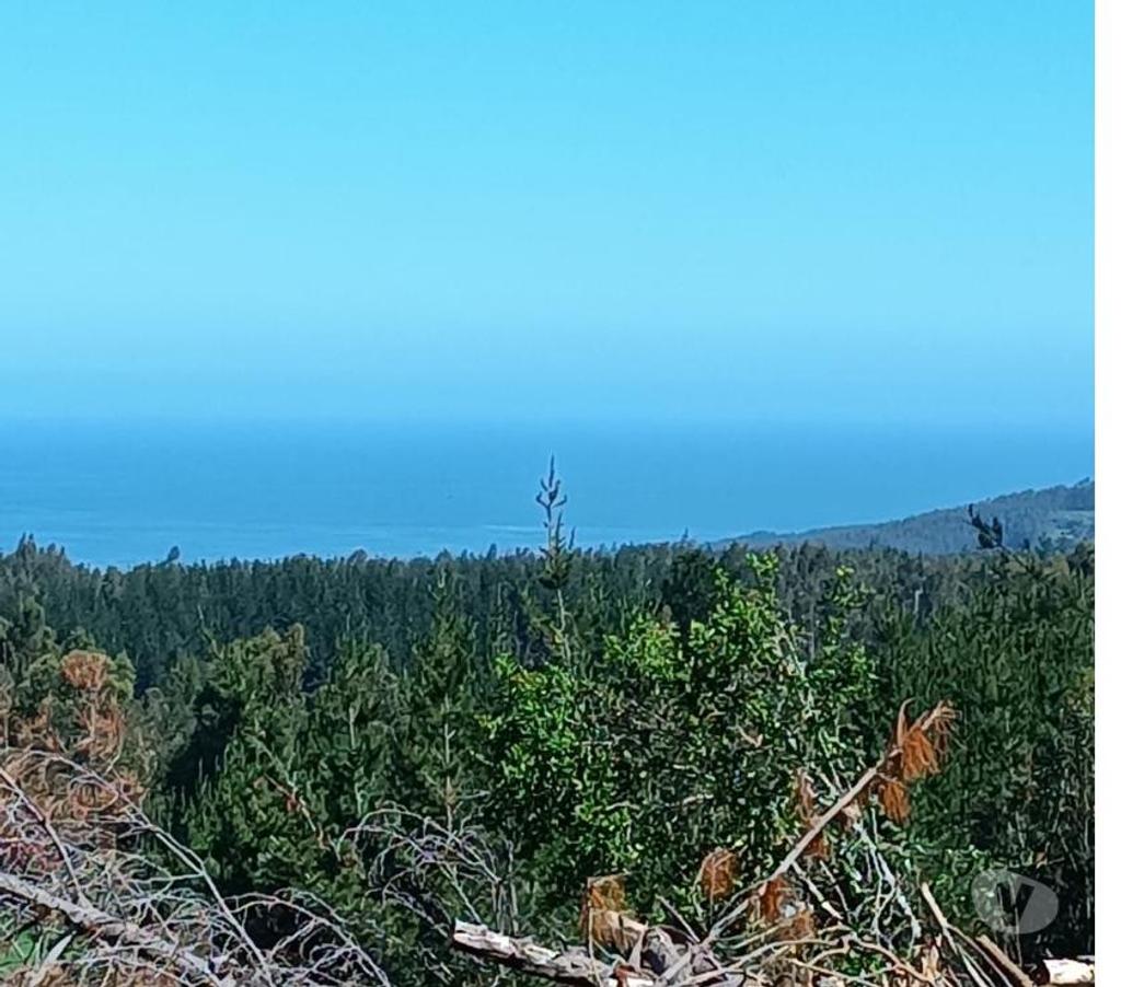 Parcelas en Venta Ñuble Cobquecura - Fotos de AL MAR, SERICHE, COBQUECURA