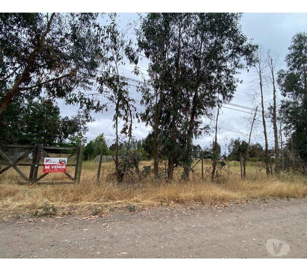 Parcelas en Venta Colchagua San Fernando - Fotos de Terreno 5.000 m2, Rosas de Antiveros, San Fernando.