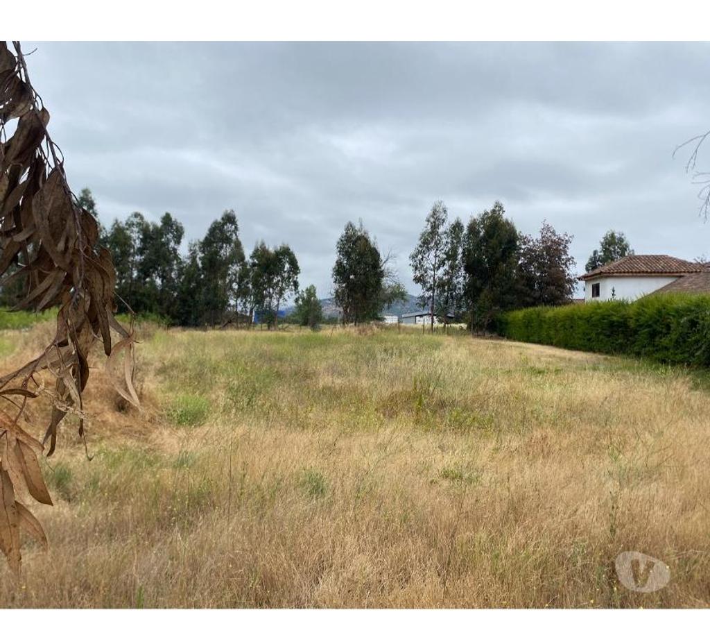 Parcelas en Venta Colchagua San Fernando - Fotos de Terreno 5.000 m2, Rosas de Antiveros, San Fernando.