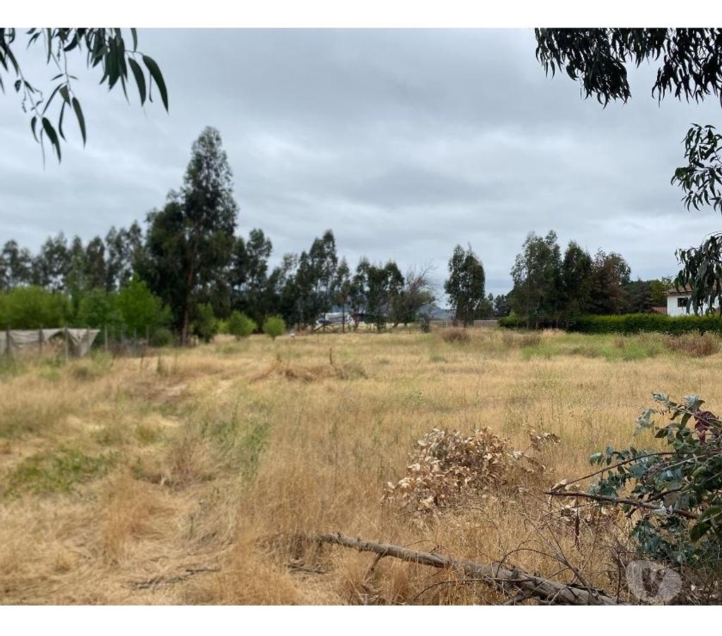 Parcelas en Venta Colchagua San Fernando - Fotos de Terreno 5.000 m2, Rosas de Antiveros, San Fernando.