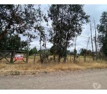 Fotos de Terreno 5.000 m2, Rosas de Antiveros, San Fernando.