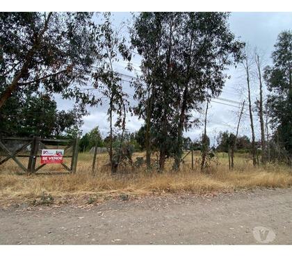 Parcelas San Fernando Colchagua - Fotos de Terreno 5.000 m2, Rosas de Antiveros, San Fernando.