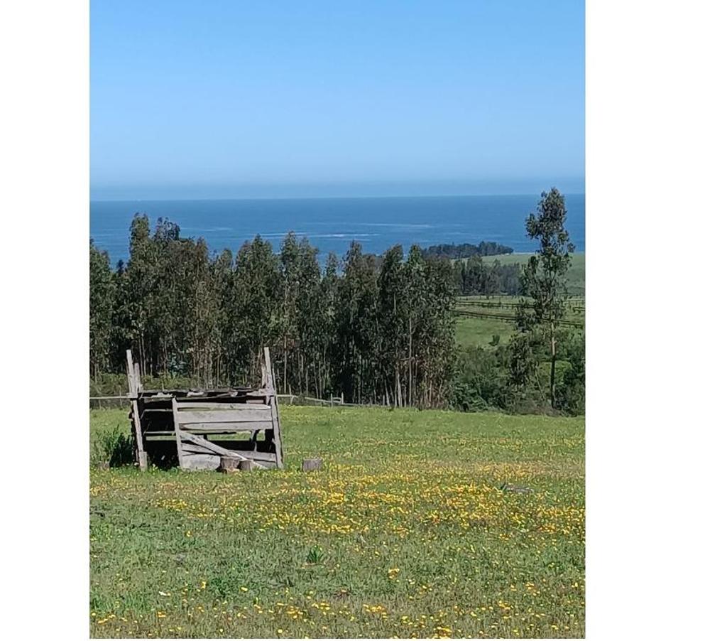 Parcelas en Venta Ñuble Cobquecura - Fotos de PAIHUEN, NEGUINTO, COBQUECURA.