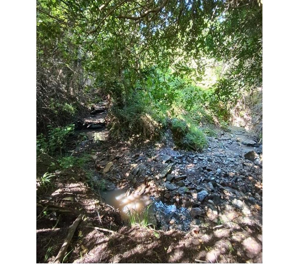 Parcelas en Venta Ñuble Cobquecura - Fotos de PAIHUEN, NEGUINTO, COBQUECURA.