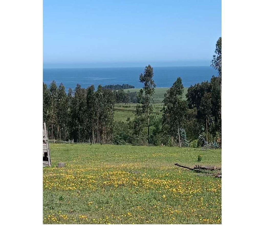 Parcelas en Venta Ñuble Cobquecura - Fotos de PAIHUEN, NEGUINTO, COBQUECURA.