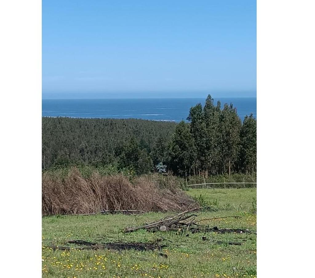 Parcelas en Venta Ñuble Cobquecura - Fotos de PAIHUEN, NEGUINTO, COBQUECURA.