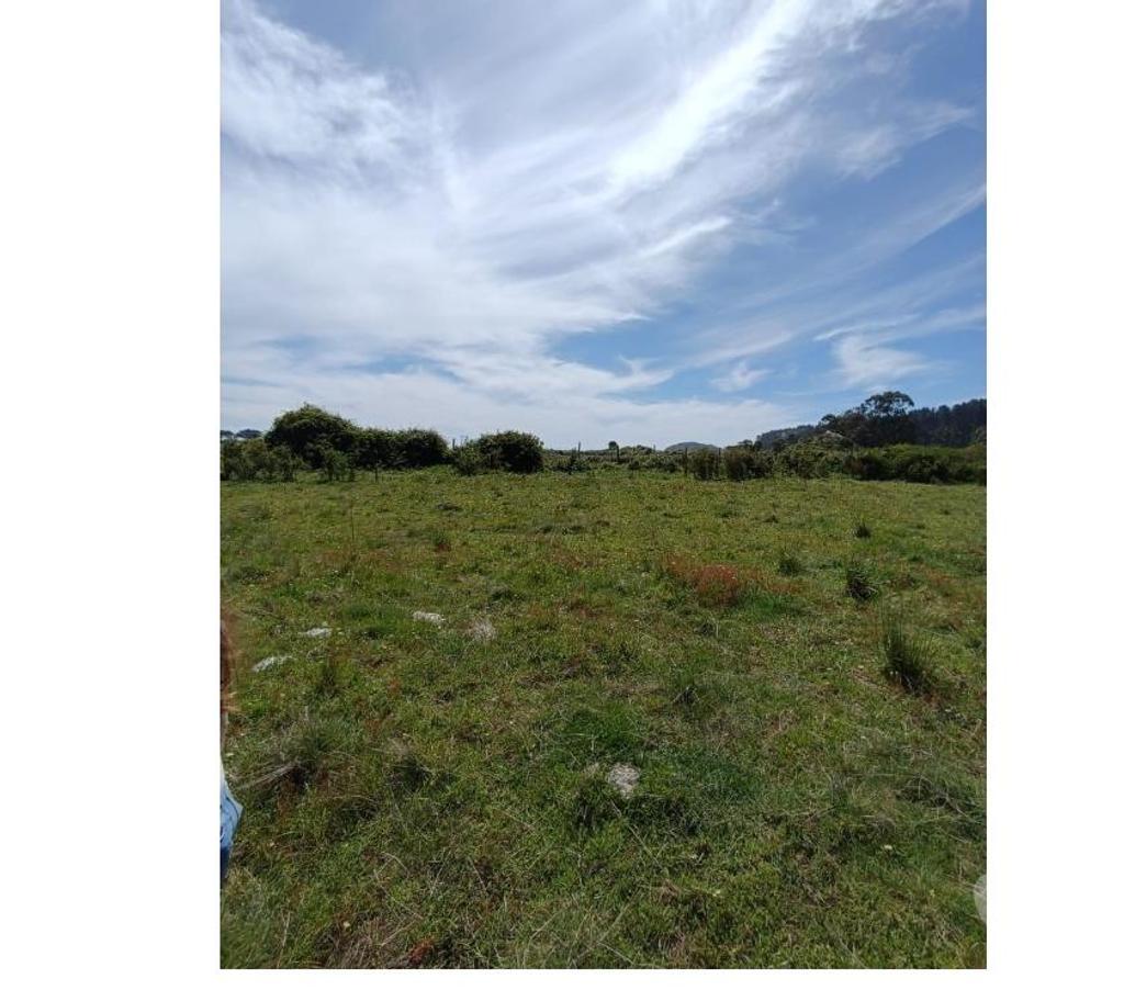 Parcelas en Venta Ñuble Cobquecura - Fotos de LAS GOLONDRINAS, PILICURA, COBQUECURA