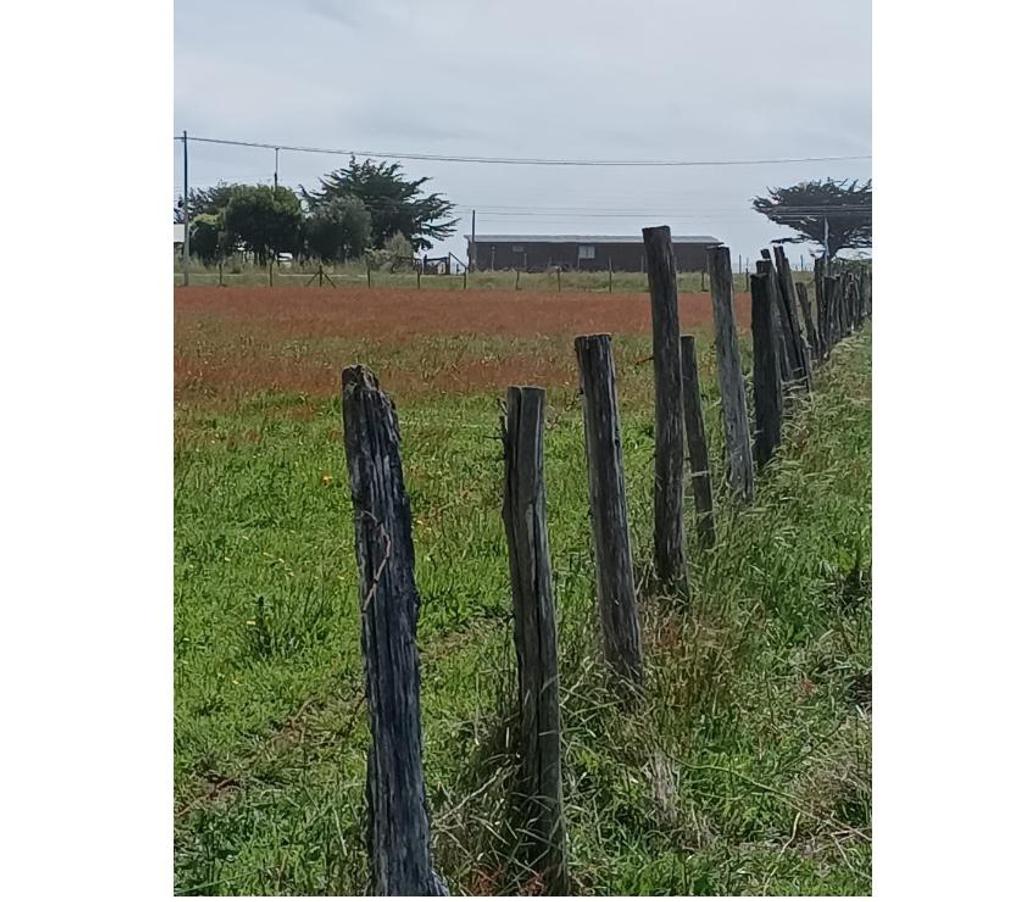 Parcelas en Venta Ñuble Cobquecura - Fotos de LAS GOLONDRINAS, PILICURA, COBQUECURA