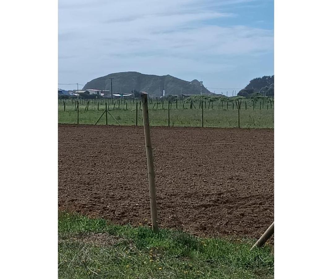 Parcelas en Venta Ñuble Cobquecura - Fotos de LAS GOLONDRINAS, PILICURA, COBQUECURA