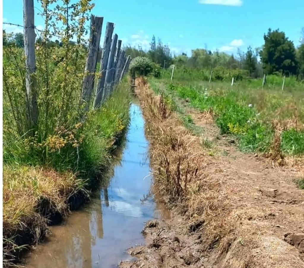 Venta de Haciendas Ñuble Ñiquén - Fotos de Hermoso predio de 9,3 hectáreas en Ñiquén Ñuble