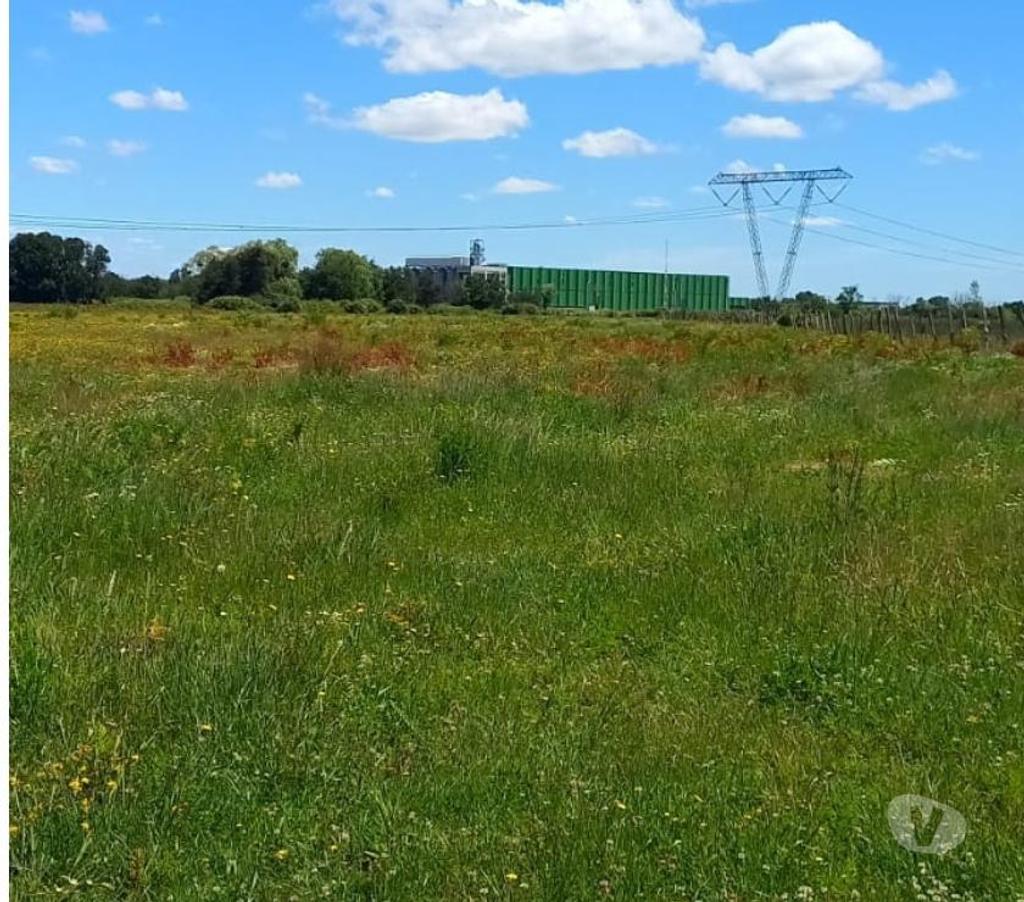 Venta de Haciendas Ñuble Ñiquén - Fotos de Hermoso predio de 9,3 hectáreas en Ñiquén Ñuble