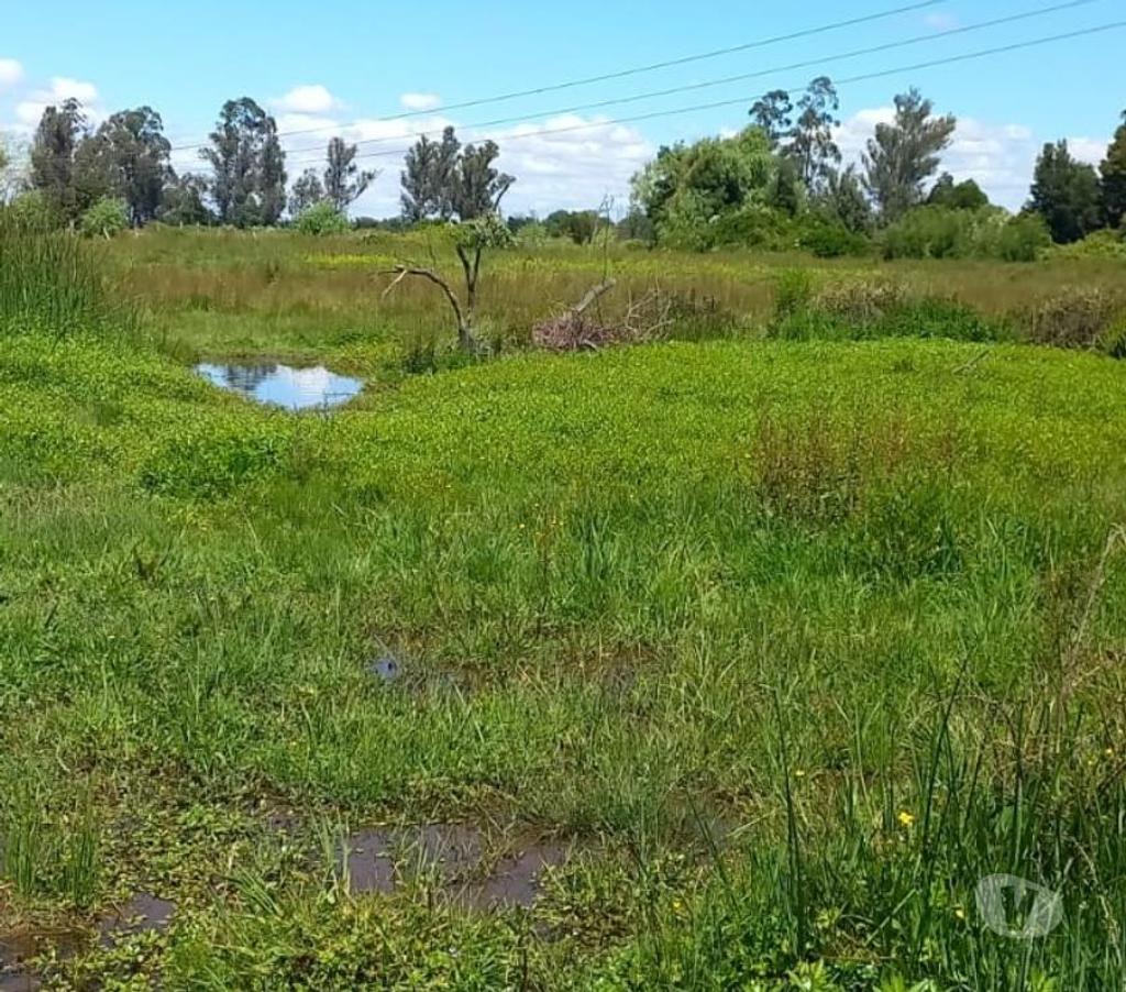 Venta de Haciendas Ñuble Ñiquén - Fotos de Hermoso predio de 9,3 hectáreas en Ñiquén Ñuble