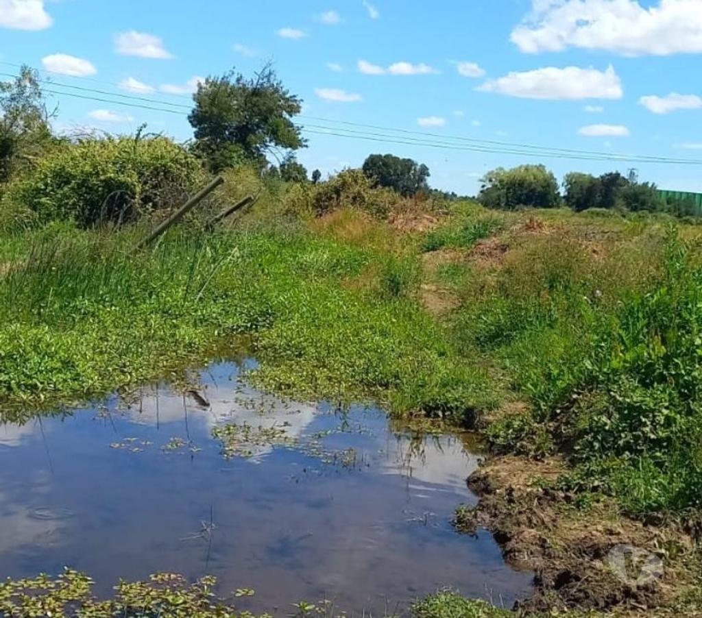 Venta de Haciendas Ñuble Ñiquén - Fotos de Hermoso predio de 9,3 hectáreas en Ñiquén Ñuble