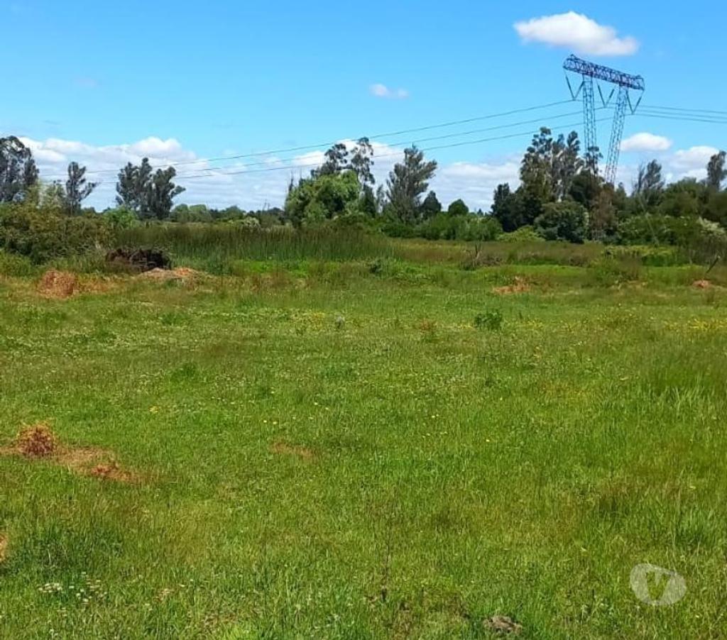 Venta de Haciendas Ñuble Ñiquén - Fotos de Hermoso predio de 9,3 hectáreas en Ñiquén Ñuble