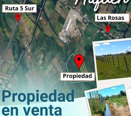 Campos-Fundos-Haciendas Ñiquén Ñuble - Fotos de Hermoso predio de 9,3 hectáreas en Ñiquén Ñuble