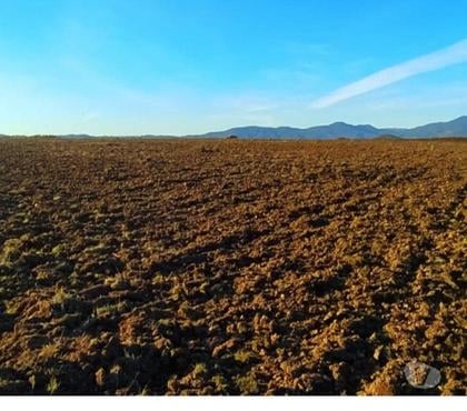 Haciendas en Venta Lolol Colchagua - Fotos de Arriendo largo plazo, desde 20 hasta 70 hectáreas planas.
