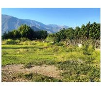 Fotos de PANQUEHUE, PARCELA